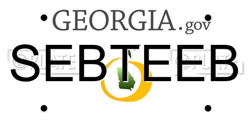 SEBTEEB Georgia License Plate