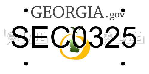 SEC0325 Georgia License Plate