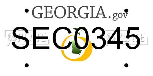 SEC0345 Georgia License Plate