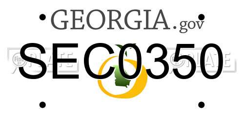 SEC0350 Georgia License Plate