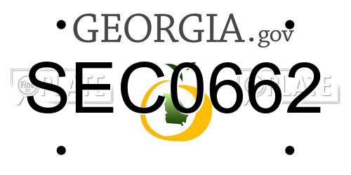 SEC0662 Georgia License Plate