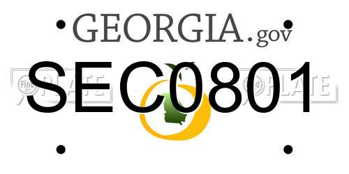 SEC0801 Georgia License Plate