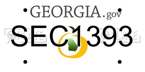 SEC1393 Georgia License Plate