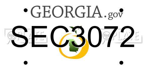 SEC3072 Georgia License Plate