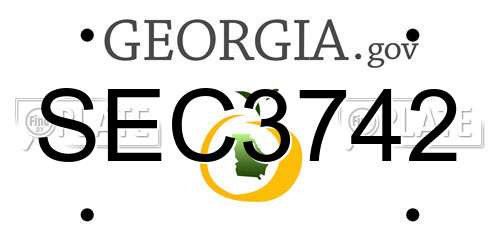 SEC3742 Georgia License Plate