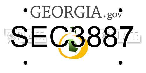 SEC3887 Georgia License Plate