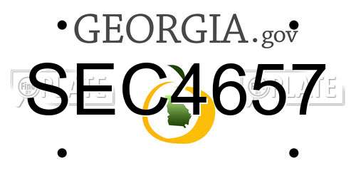 SEC4657 Georgia License Plate