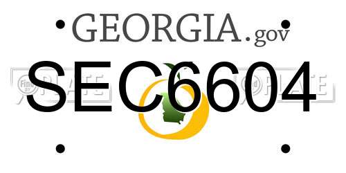 SEC6604 Georgia License Plate