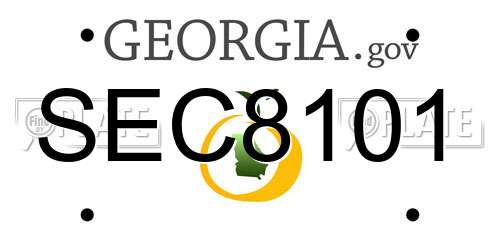 SEC8101 Georgia License Plate