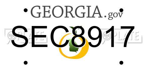 SEC8917 Georgia License Plate