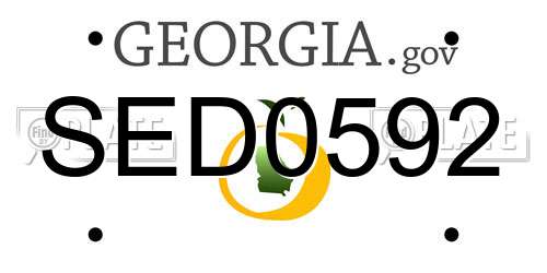 SED0592 Georgia License Plate