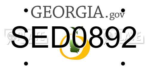 SED0892 Georgia License Plate