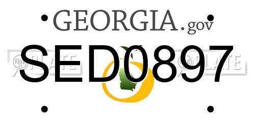 SED0897 Georgia License Plate