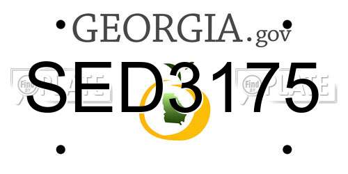 SED3175 Georgia License Plate