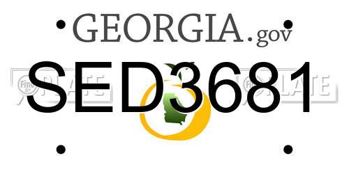 SED3681 Georgia License Plate