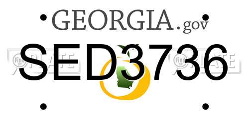 SED3736 Georgia License Plate