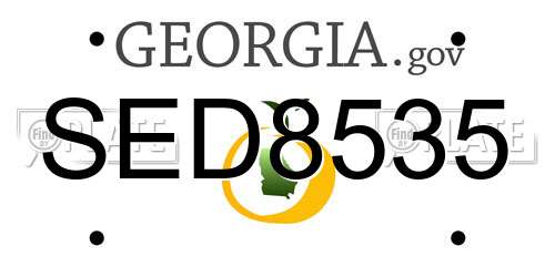 SED8535 Georgia License Plate