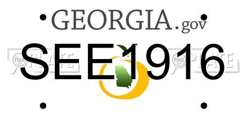 SEE1916 Georgia License Plate
