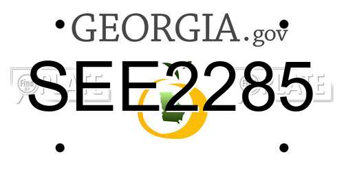 SEE2285 Georgia License Plate