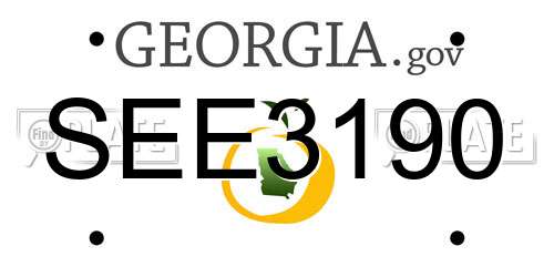 SEE3190 Georgia License Plate