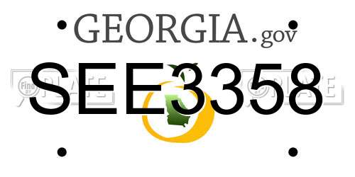 SEE3358 Georgia License Plate