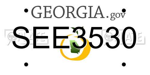 SEE3530 Georgia License Plate