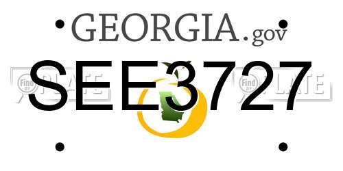 SEE3727 Georgia License Plate