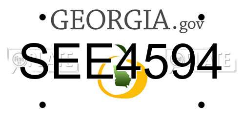SEE4594 Georgia License Plate