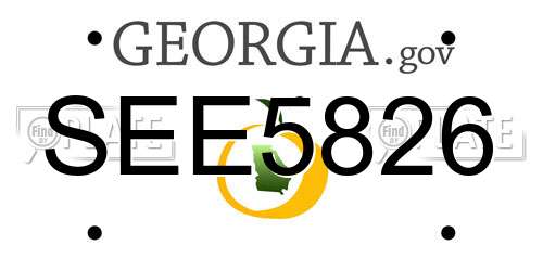 SEE5826 Georgia License Plate