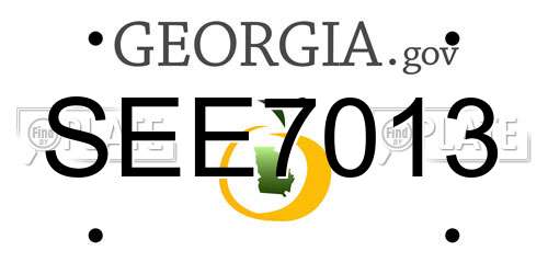 SEE7013 Georgia License Plate