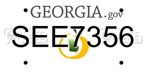 SEE7356 Georgia License Plate