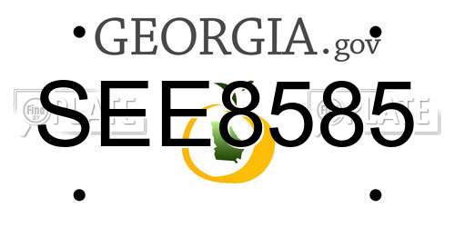 SEE8585 Georgia License Plate