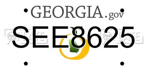 SEE8625 Georgia License Plate