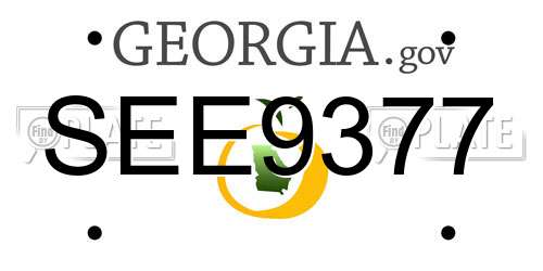 SEE9377 Georgia License Plate