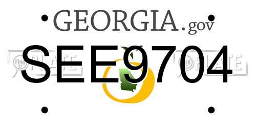 SEE9704 Georgia License Plate