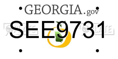 SEE9731 Georgia License Plate