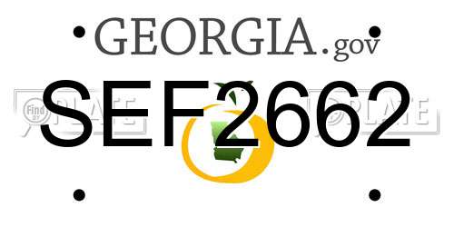 SEF2662 Georgia License Plate
