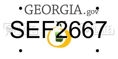 SEF2667 Georgia License Plate