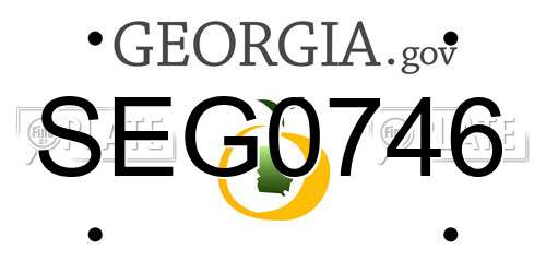 SEG0746 Georgia License Plate