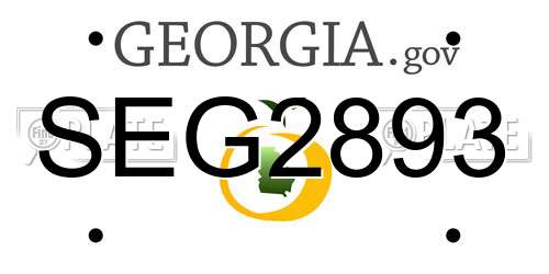SEG2893 Georgia License Plate