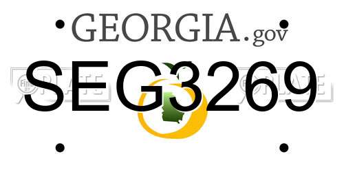 SEG3269 Georgia License Plate
