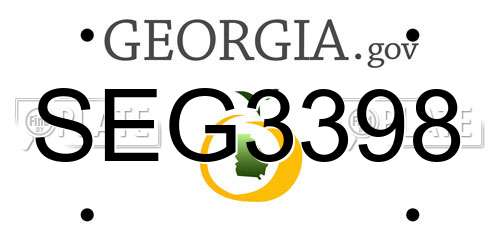 SEG3398 Georgia License Plate