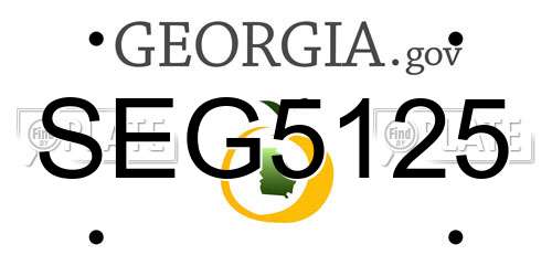 SEG5125 Georgia License Plate