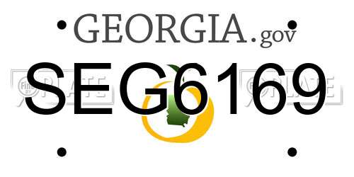 SEG6169 Georgia License Plate
