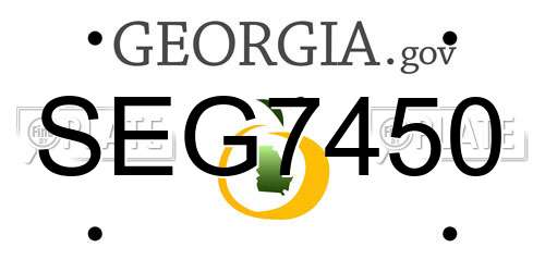 SEG7450 Georgia License Plate