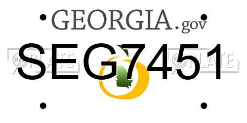 SEG7451 Georgia License Plate