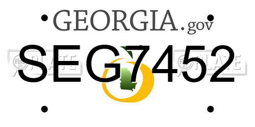 SEG7452 Georgia License Plate