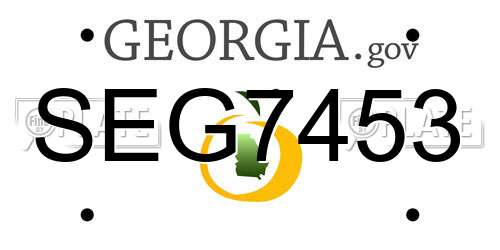 SEG7453 Georgia License Plate