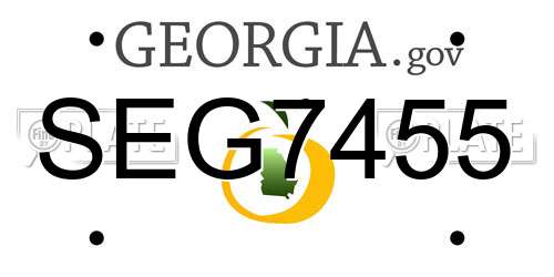 SEG7455 Georgia License Plate