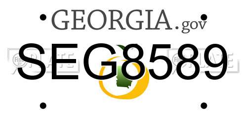 SEG8589 Georgia License Plate